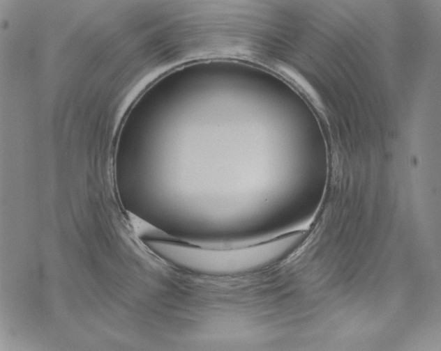X0000075881340200610062018
