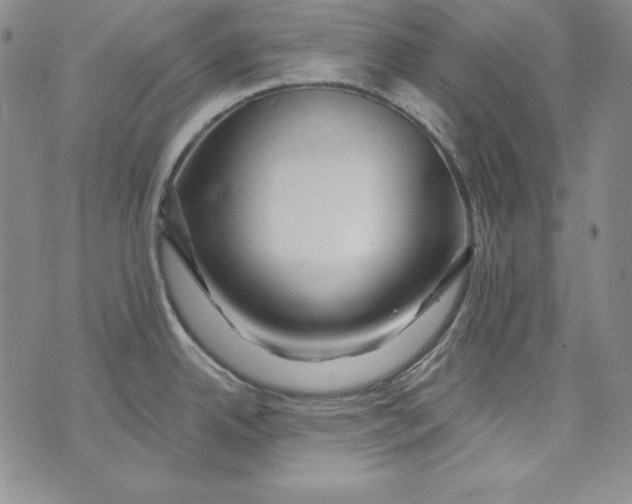 X0000075881342200610062018