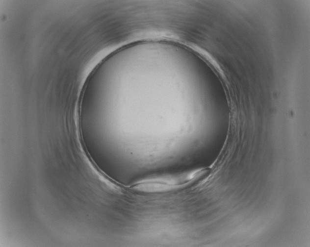 X0000075881343200610062018