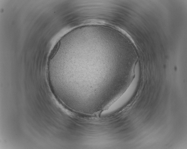 X0000075881379200610062017