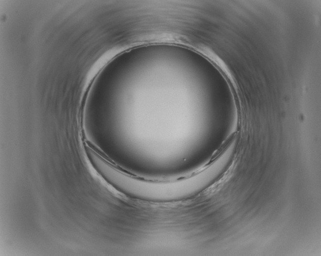 X0000075881389200610062017