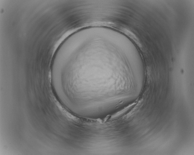 X0000075881428200610062016