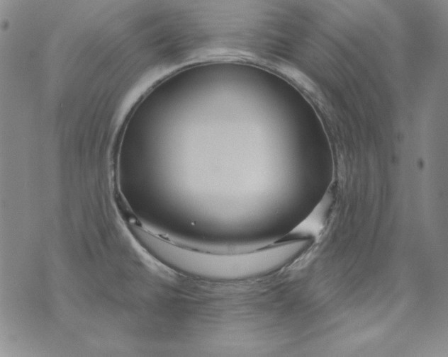 X0000075881430200610062016