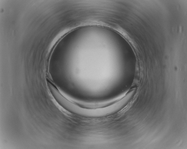 X0000075881438200610062017