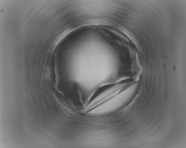 X0000075881465200610062015