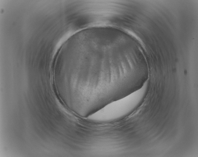 X0000075881467200610062015