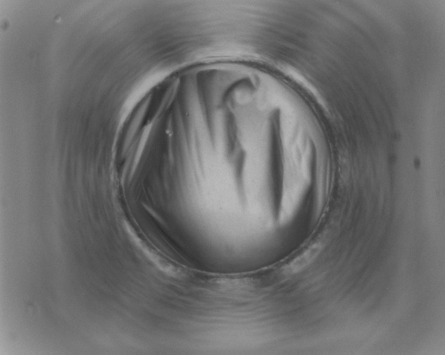 X0000075881469200610062015