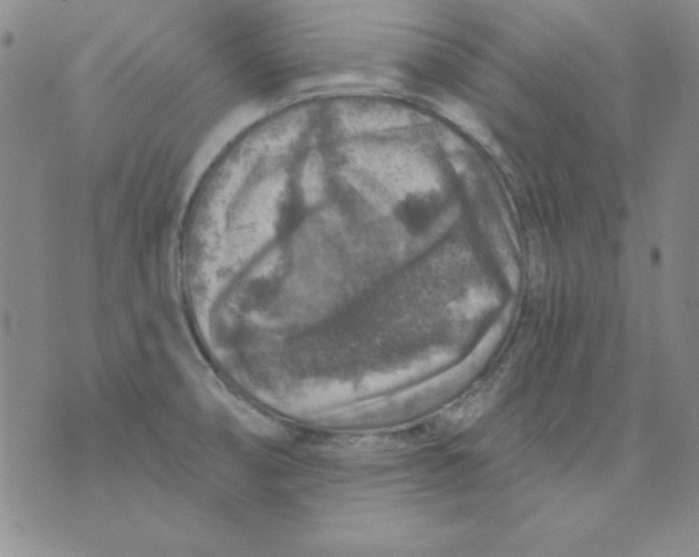X0000075881474200610062015