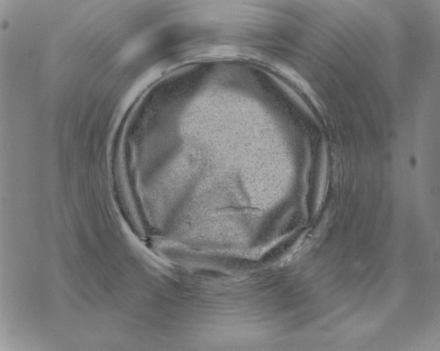 X0000075881475200610062015