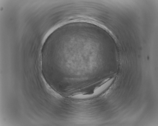 X0000075881522200610062015