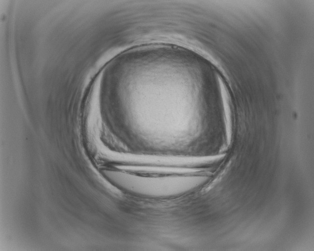 X0000075881525200610062015