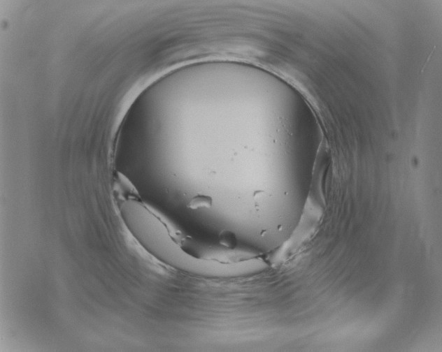 X0000075881532200610062015