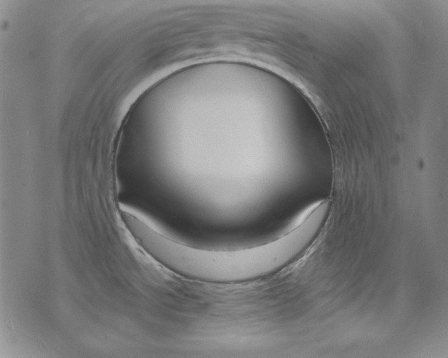 X0000075881534200610062015