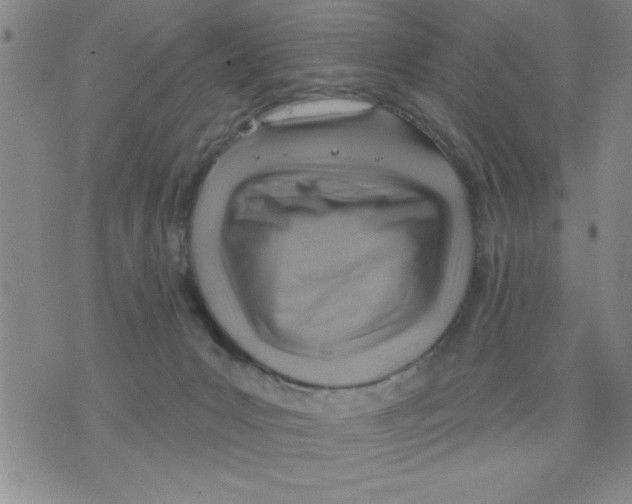 X0000075880031200610151737