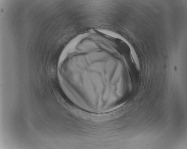 X0000075880039200610151737