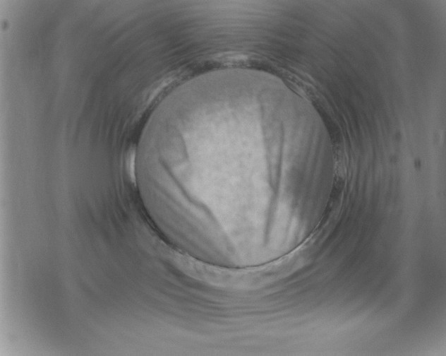 X0000075880047200610151737