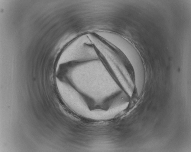 X0000075880050200610151736