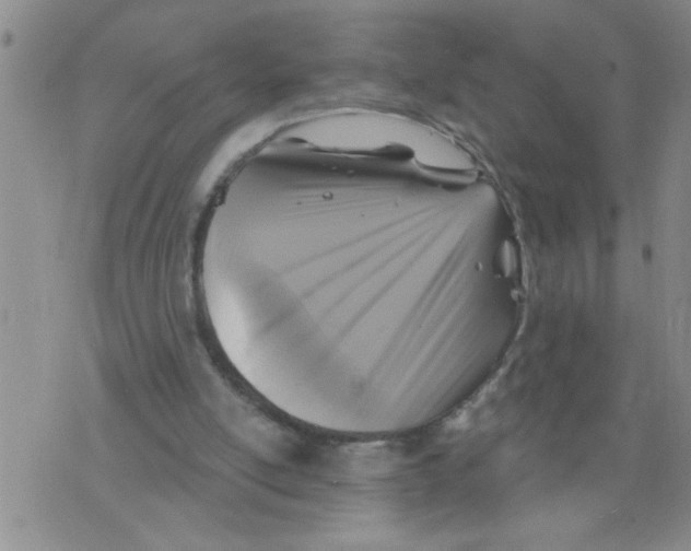 X0000075880054200610151736