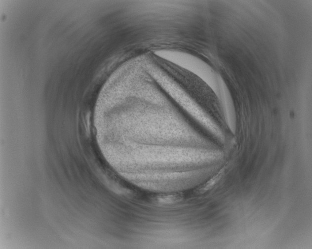 X0000075880070200610151736