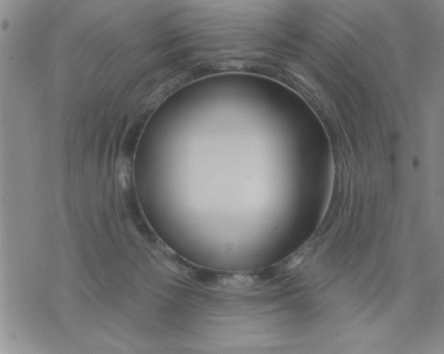 X0000075880125200610151736