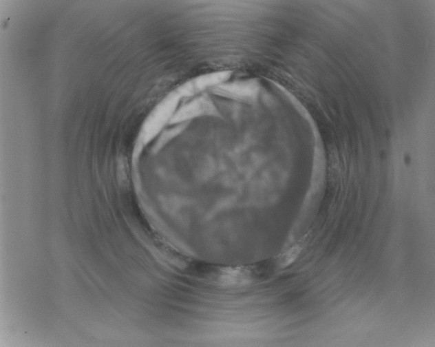X0000075880130200610151736