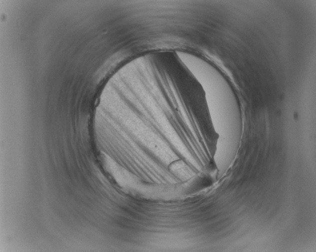 X0000075880154200610151735