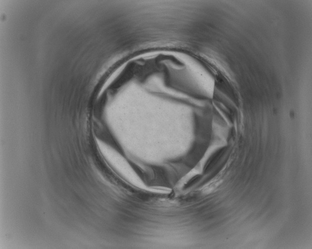 X0000075880156200610151735