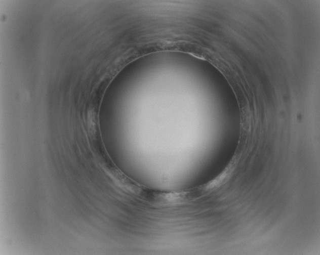X0000075880184200610151735