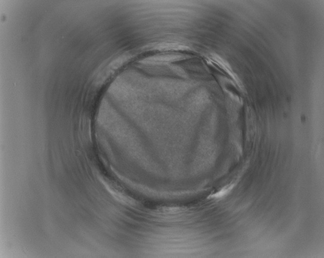 X0000075880205200610151734