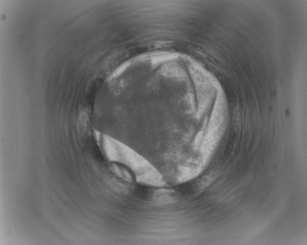 X0000075880222200610151734