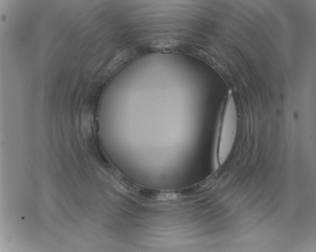 X0000075880227200610151734