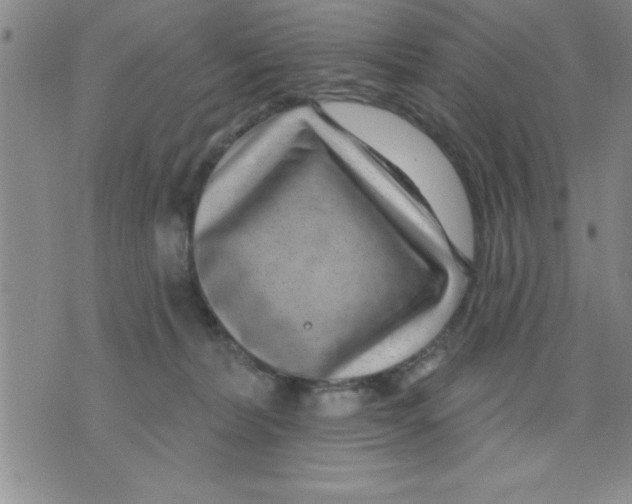 X0000075880228200610151734