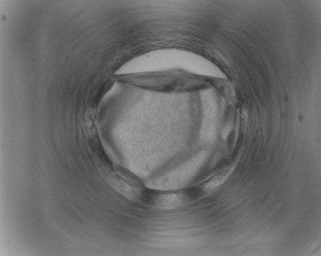 X0000075880237200610151734