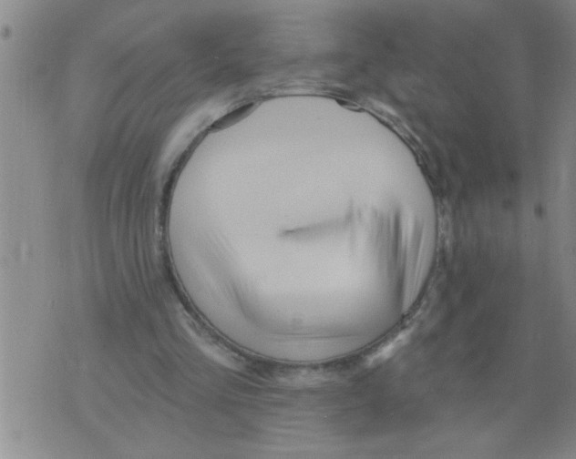 X0000075880293200610151733