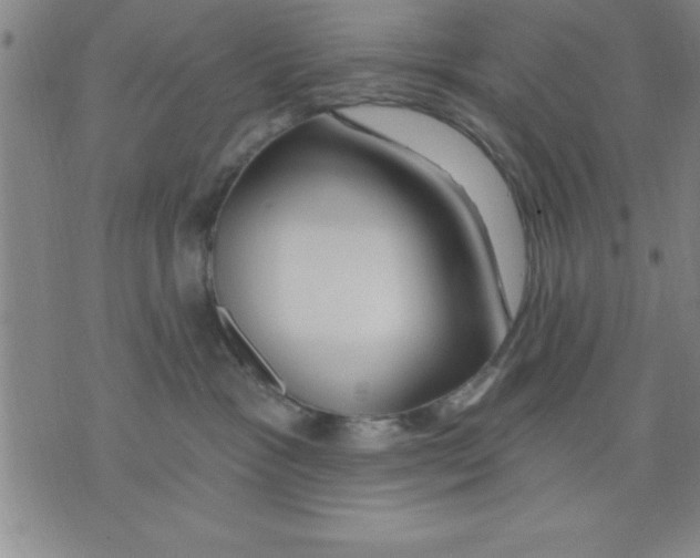 X0000075880333200610151732