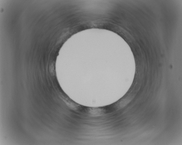 X0000075880336200610151732