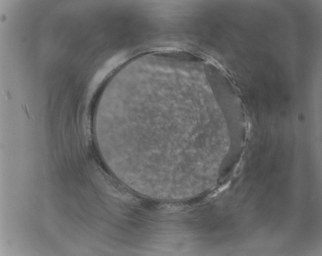 X0000075880343200610151731