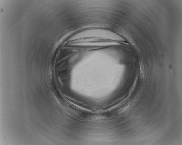 X0000075880348200610151732