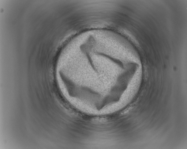 X0000075880354200610151732