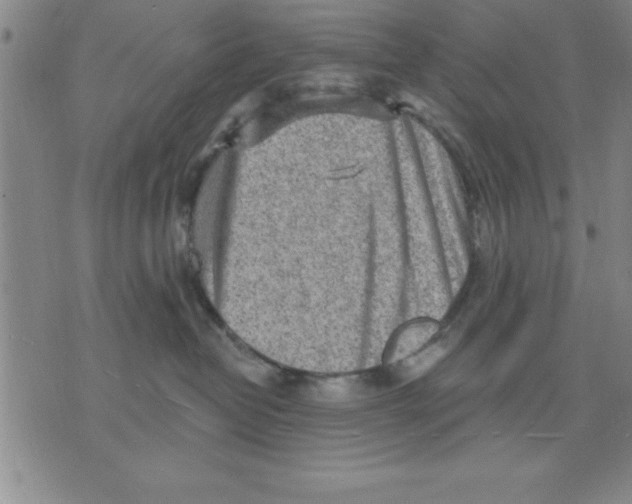 X0000075880382200610151732