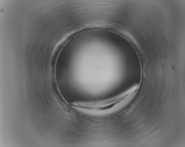 X0000075880388200610151731