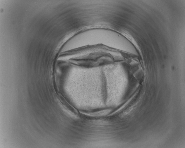 X0000075880389200610151731