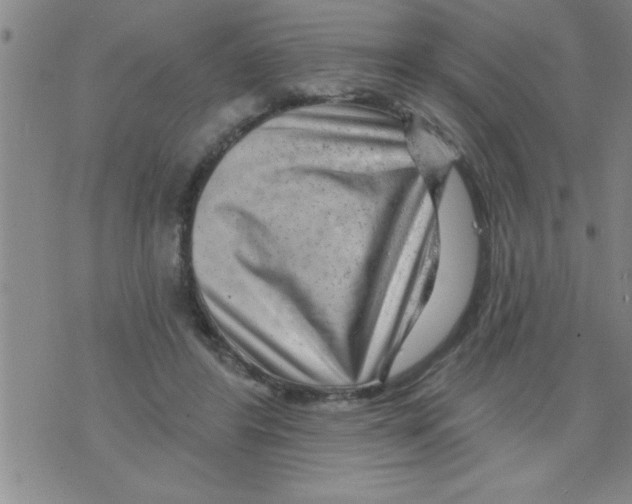X0000075880404200610151731
