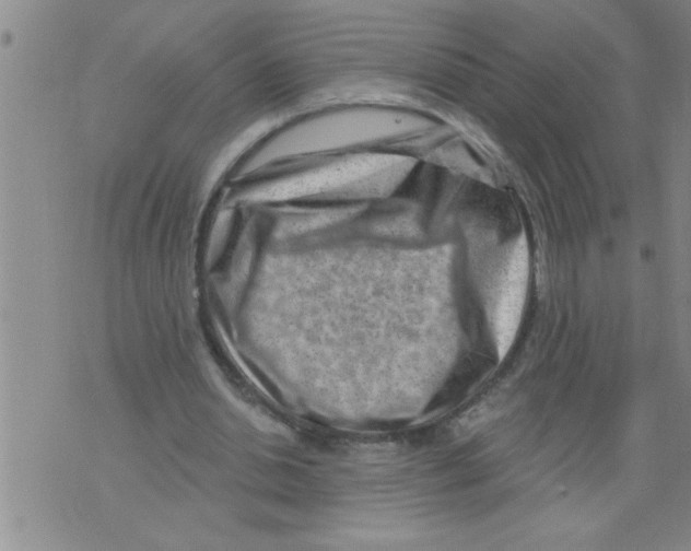X0000075880438200610151730