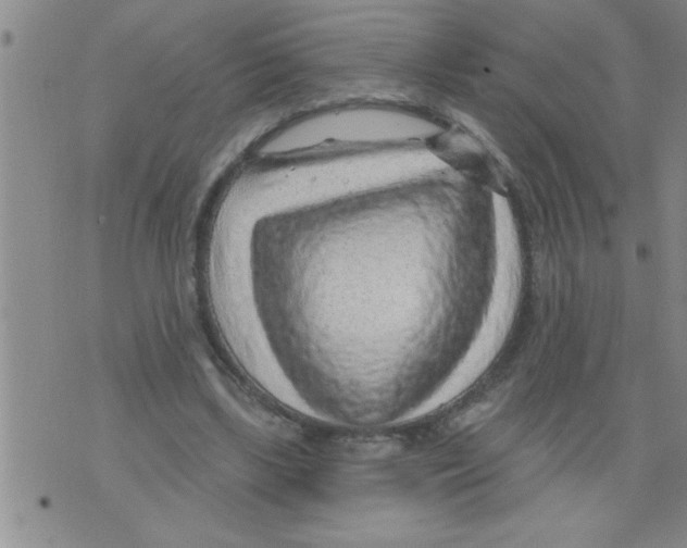 X0000075880443200610151730