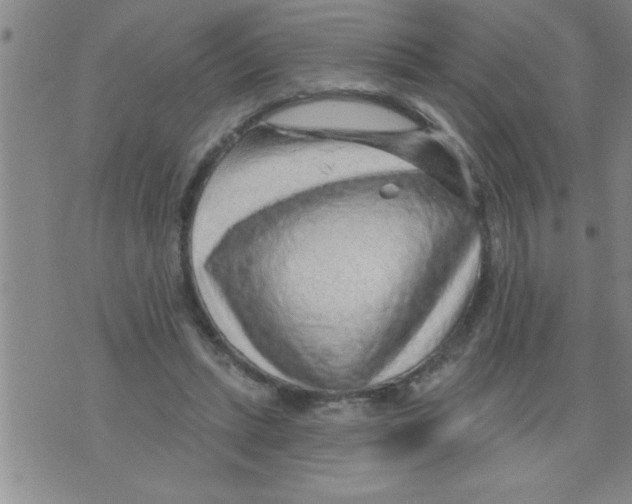 X0000075880447200610151730