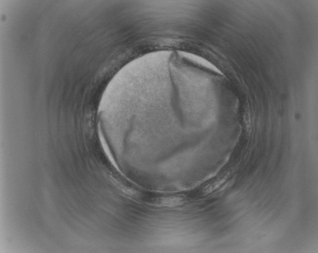 X0000075880462200610151730