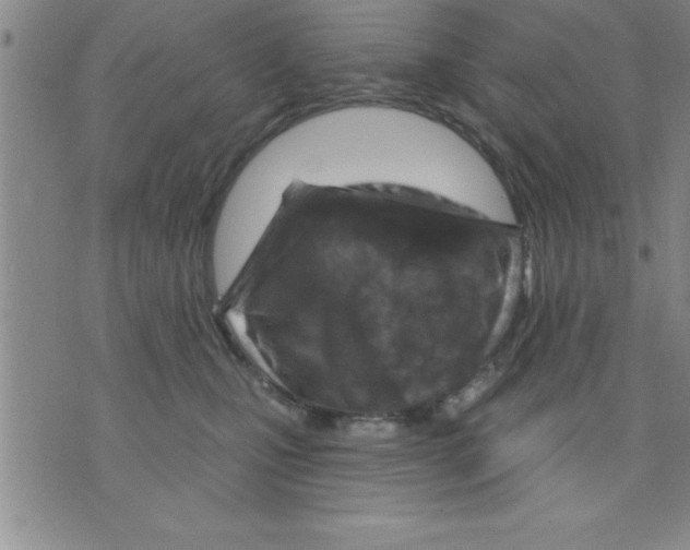 X0000075880471200610151730