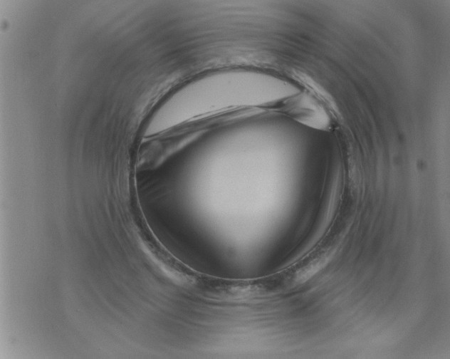 X0000075880493200610151730