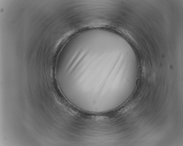 X0000075880539200610151728